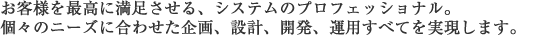 そして、会計に関するシステムのプロフェッショナル。お客様のニーズに合わせた企画、設計、開発すべてを実現します。